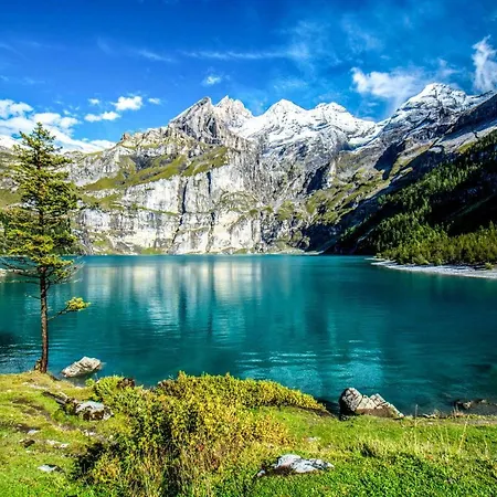 Domek letniskowy Oeschinensee *