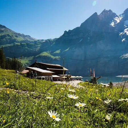 Oeschinensee Деревянный коттедж *