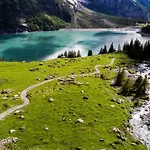 Oeschinensee Orman Evi Kandersteg