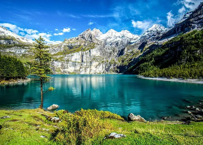 Domek letniskowy Oeschinensee *